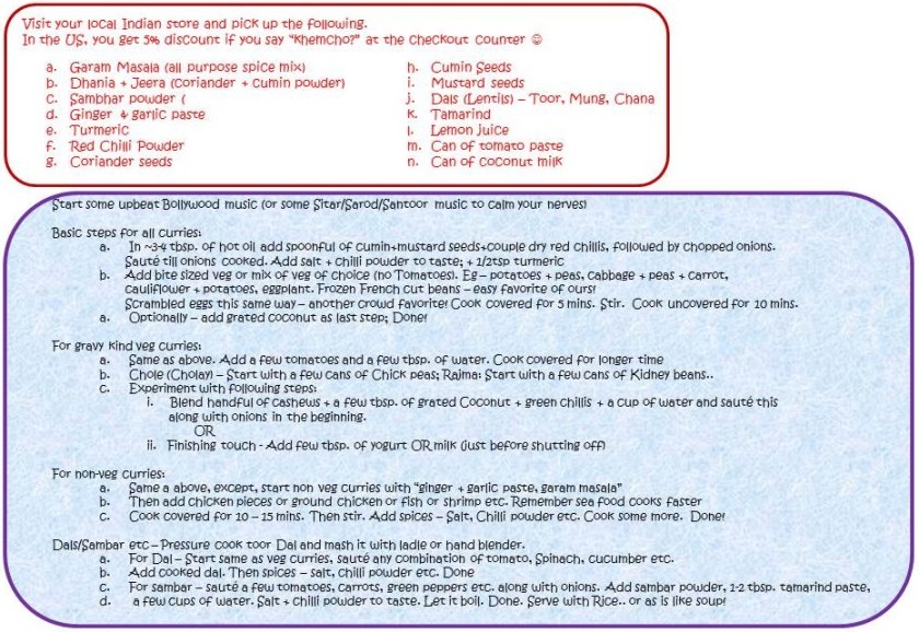 Indian cooking for dummies